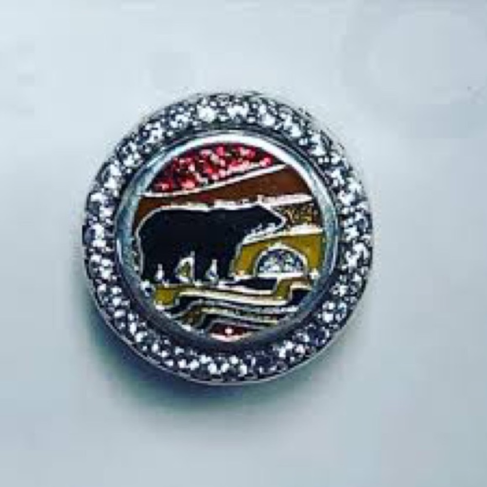 IN SEARCH OF THESE PANDORA CHARMS!